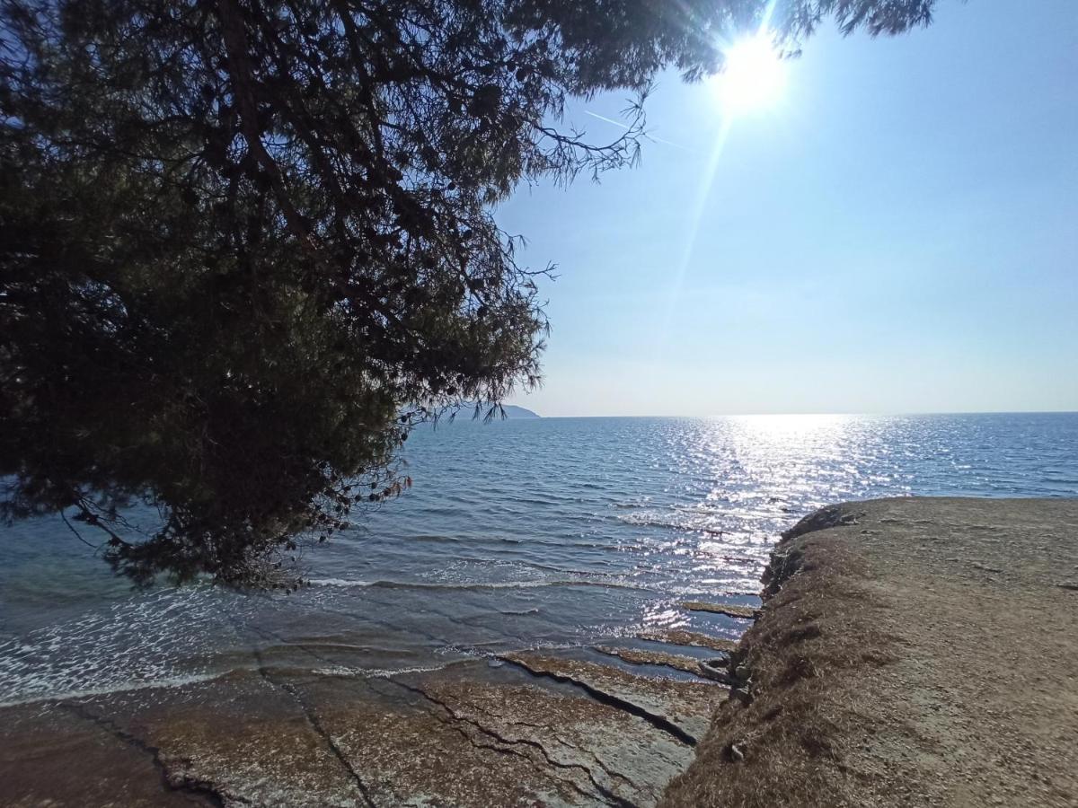 ラシオタEte Indien - Plage - Wifi - Host Provenceアパートメント エクステリア 写真